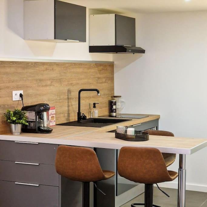 Grand Loft Avec Terrasse Privee Apartment Сент Етиен Екстериор снимка